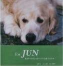forJUNの本の表紙