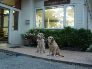 歯科医院の前で待ちくたびれる五郎と奈々